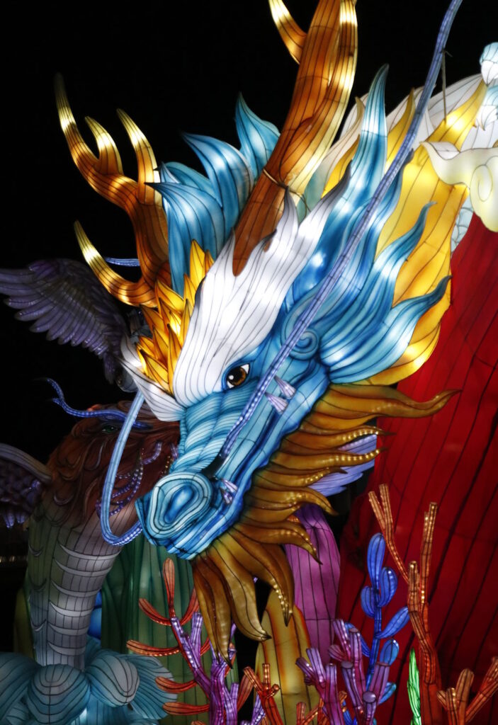 06 – Dragon, Festival des lumières – Montauban, Gérard