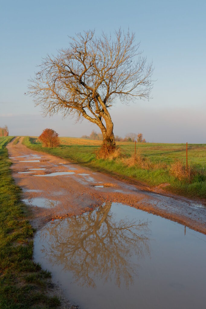 18 – EXPO 2024 – Marie-France – Cordes sur Cierl – couleur