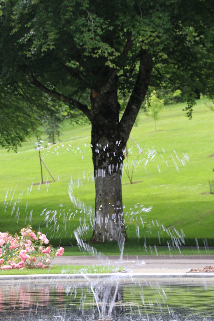 5 – Expo 2025 – Gérard – Cimetière américain è Romagne sous Montfaucon (Meuse)